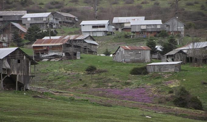 Yaylarımız doğallıklarını kaybediyor!