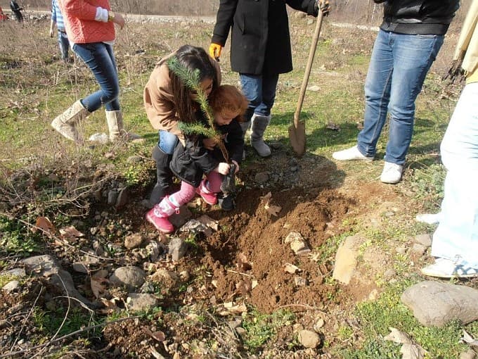 Ağaç sevgisi engel tanımıyor