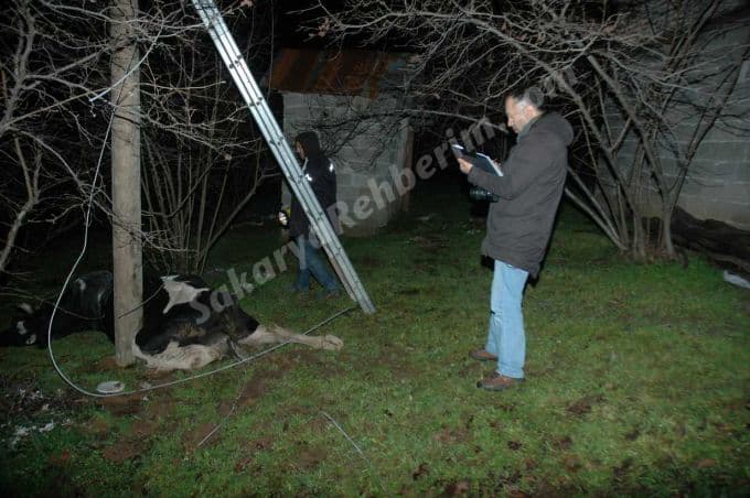 SEDAŞ'ın ihmâli bu kez bir cana mâl oluyordu