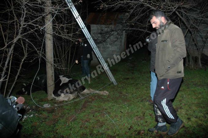 SEDAŞ'ın ihmâli bu kez bir cana mâl oluyordu
