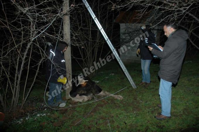 SEDAŞ'ın ihmâli bu kez bir cana mâl oluyordu