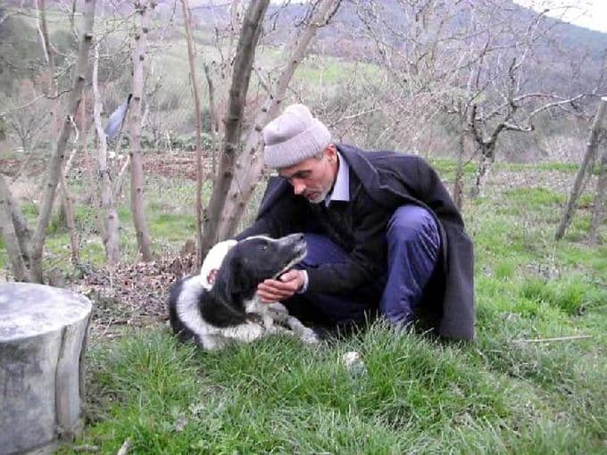 Önce köpekler sonra sahipleri dövüştü