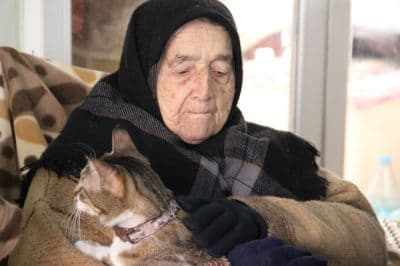 <font face="arial,helvetica,sans-serif" size="2">Bir g&uuml;n annesini  kollarından tutarak dışarıda y&uuml;r&uuml;tmeye başladığını anlatan Sevgi Koğhen,  ş&ouml;yle konuştu: &ldquo;Yine bir g&uuml;n yardım ile dışarıda fizik tedavi ama&ccedil;lı  y&uuml;r&uuml;y&uuml;şe &ccedil;ıktık. K&uuml;&ccedil;&uuml;k bir yavru k&ouml;pekle karşılaştık. Daha &ouml;nce annemin  k&ouml;pek bakma tecr&uuml;besi yoktu, sadece uzaktan sevmekle yetinirdi. Annem,  k&uuml;&ccedil;&uuml;k k&ouml;peği eğilip kucağına alarak yere oturdu ve onunla oynamaya  başladı. Annem ile k&ouml;peğin iletişimine şaşırdım ve annemin k&ouml;peği sevmek  i&ccedil;in nasıl hareketlendiğine bakakaldım.&rdquo;<br /><br />K&uuml;&ccedil;&uuml;k k&ouml;peğin sahipli  olabileceğini d&uuml;ş&uuml;nerek onu orada bıraktıklarını anlatan Sevgi Koğhen;  şunları s&ouml;yledi: &ldquo;K&ouml;peği bırakıp eve geri d&ouml;nd&uuml;k. Bu arada k&ouml;pek  peşimizi bırakmadı. K&ouml;pek eve kadar geldi. Belli bir s&uuml;re sonra k&ouml;peğin  sahibi &ccedil;ıkageldi. 'Benim k&ouml;peğime nasıl el koyarsınız?' diyerek k&ouml;peği  bizden geri aldı. Annem k&ouml;peğin gidişine &ccedil;ok &uuml;z&uuml;ld&uuml;. Fakat bir s&uuml;re  sonra baktık k&ouml;pek yine kapımızda. Bu durum bir iki defa tekrar edince  sahibi k&ouml;peği bize verdi. Biz de k&ouml;peğimizin ismini Şımarık koyduk.&rdquo;<br /></font>