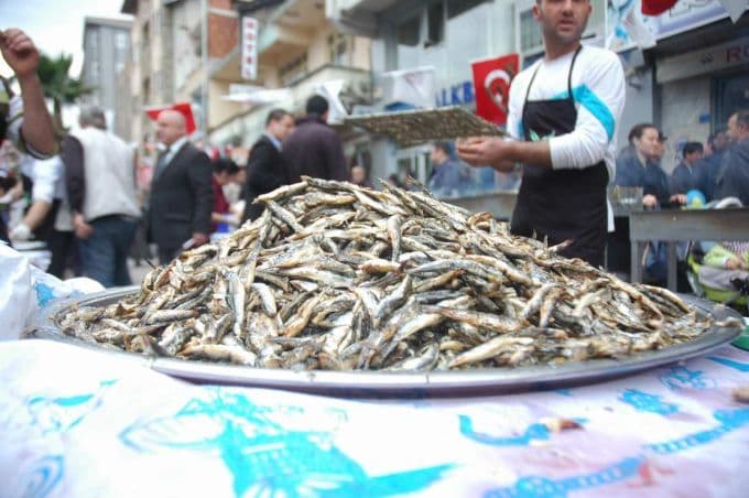 Karasu'da hamsi festivali