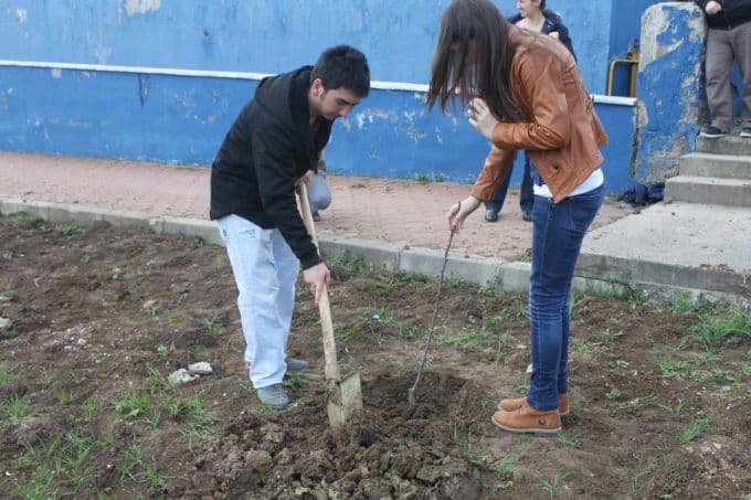 Arkadaşları Tuğba'nın anısına ağaç dikti