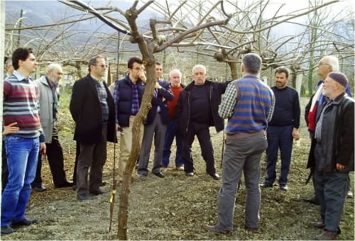 Kivi üreticilerine eğitim verildi