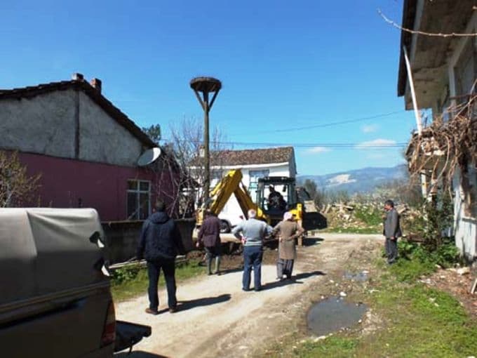 Pamukova'da leylek için yuva kurdular
