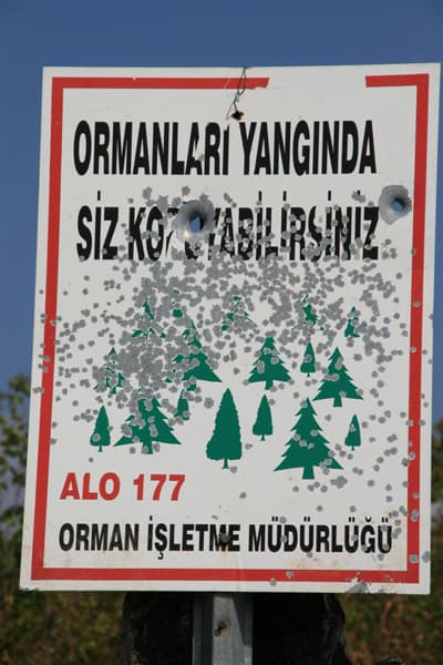 Tabelalar, Hedef Tahtası Olmaya Devam Ediyor!