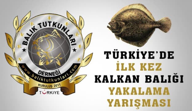 Kocaali'de Kalkan Balığı Yakalama Yarışması