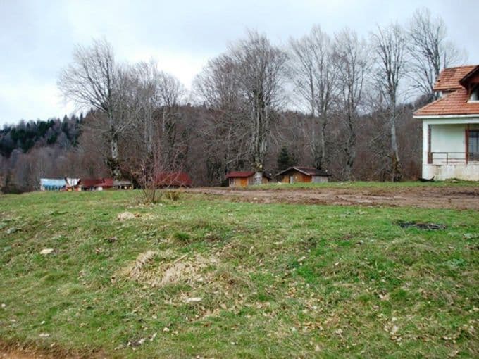 Sapanca'da yayla alanlarının tespiti yapıldı