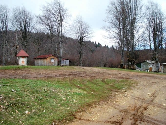Sapanca'da yayla alanlarının tespiti yapıldı