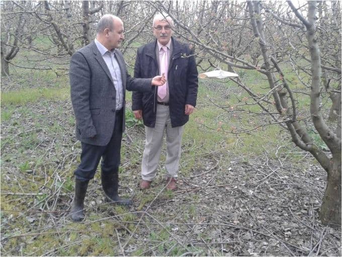 Meyvecilik bölgeleri tuzaklandı