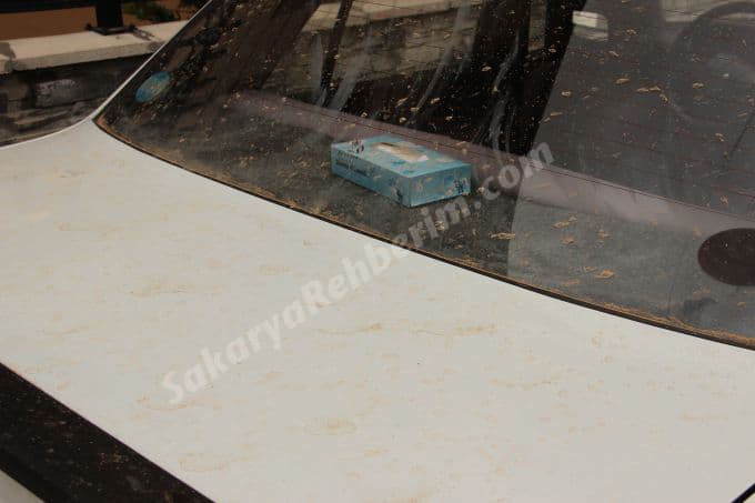 Sakarya'ya resmen çamur yağdı!