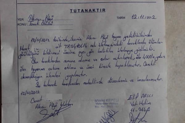 "200 bin hastalıklı tavuk piyasaya sürüldü"