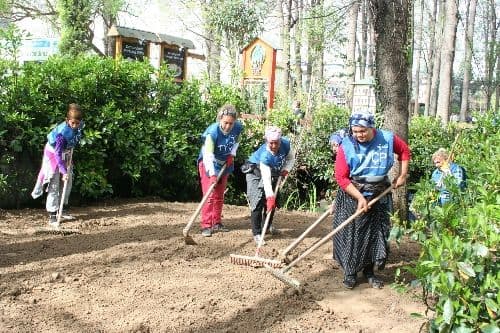 Açılım sonucu 500 Roman vatandaşın hayatı değişti