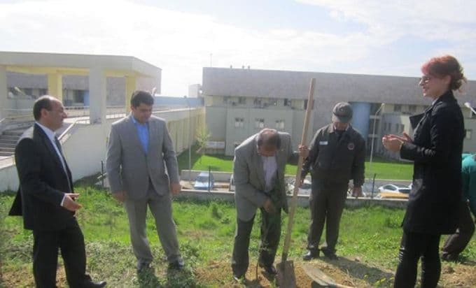 Valilik kampüsüne fidan dikildi
