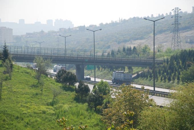 Başına gelen parke taşı sonrası hayatını kaybetti