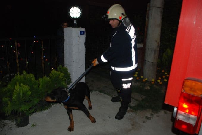 Demire sıkışan köpeği kurtarmak için seferber oldular