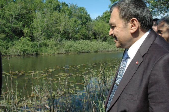 Acarlar Longozu dünyaya tanıtılacak