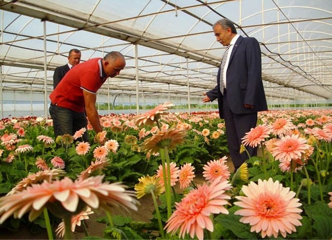 Vali Büyük, Pamukova'da teftişe çıktı