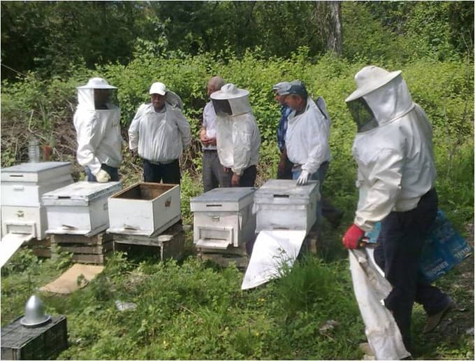 Mekece köyü'nde Arıcılık Kursu açıldı