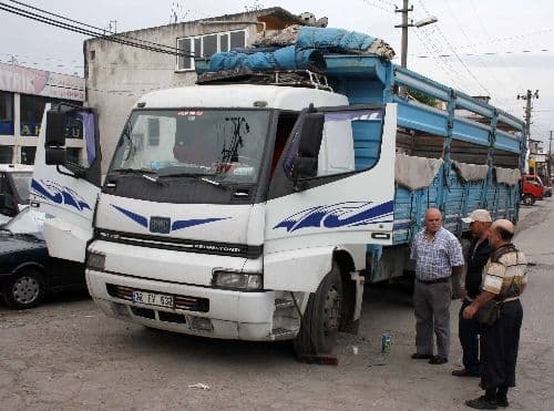Kamyonda birden ortaya çıkan yılan sürücüyü sabahlattı
