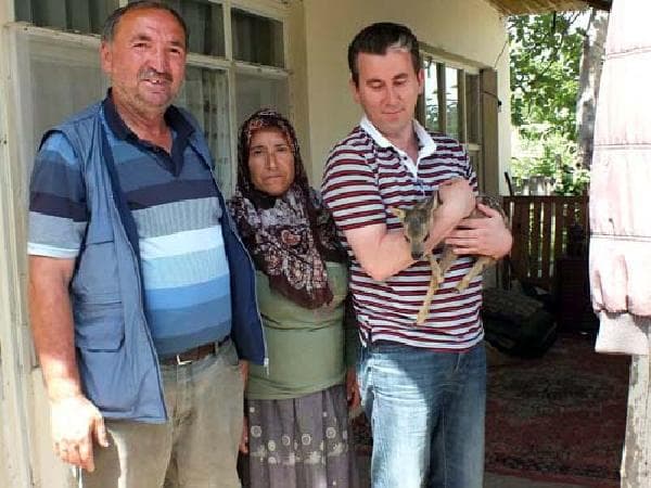 Yavru Karacaya köylüler sahip çıktı