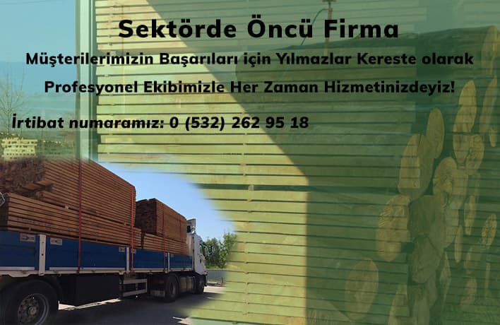 Resim