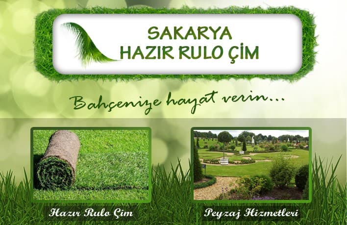 Resim