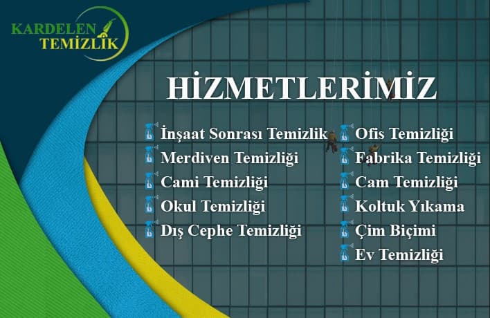 Resim
