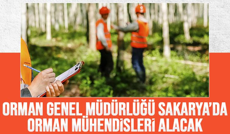 249 sözleşmeli orman mühendisi alınacak