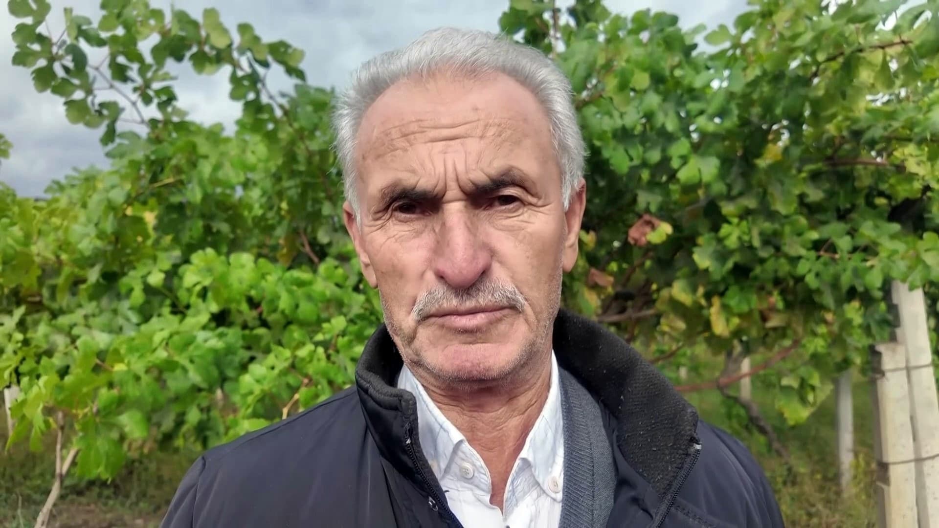 Sakarya’nın Pamukova ilçesinde üzüm üreticileri, artan hırsızlık olaylarına karşı hasat öncesi jandarma ekipleriyle birlikte nöbet tutuyor. Zirai don felaketiyle büyük kayıplar yaşayan üreticiler, elde kalan mahsullerini korumak için gece gündüz bağ başında bekliyor.
Pamukovalı üreticiler, zirai don felaketi sonrasında büyük kayıplar yaşadı ve şimdi de hırsızlık tehdidiyle karşı karşıya. Üzüm üreticileri, hasat öncesi artan hırsızlık girişimlerine karşı bağlarında nöbet tutmaya başladı. İlçe Jandarma Komutanlığı ekipleri de bölgedeki güvenlik önlemlerini artırarak üreticilere destek oluyor. Bu yıl, zirai don nedeniyle büyük zarar gören çiftçiler, geriye kalan ürünlerini çalınmaması için jandarma ekipleriyle koordineli şekilde çalışıyor. Ekipler, özellikle üzüm bağlarının yoğun olduğu bölgelerde devriye faaliyetlerini artırırken, üreticiler de kendi arazilerinde dönüşümlü olarak nöbet tutuyor.
Pamukova Ziraat Odası Başkanı Yaşar Ulukaya, "Üzüm bağlarımızda nöbet tutuyoruz. Bu yıl don ve kuraklık nedeniyle verim kaybı yaşadık. Ne yazık ki üzüm bağlarımızda hırsızlık olayları da yaşandı. Çiftçiler, bir yıl boyunca emek verdikleri tarladan sadece bir saatte ürünlerini kaybedebiliyorlar. Şu an jandarmamızla koordineli bir şekilde nöbet tutuyoruz, ayrıca güvenlik kameraları da yerleştirildi" dedi.
Çiftçi Hasan Yıldız ise, "Bu yıl don nedeniyle büyük mağduriyet yaşadık. Ürünlerimizin çoğu yandı. Şimdi de kalan üzümlerimizi toplamaya çalışırken hırsızlık olaylarıyla karşılaşıyoruz. Ürünlerimiz bahçelerimizden çalınıyor. Biz çiftçiler olarak, jandarma ekipleriyle birlikte bu mücadeleyi sürdürüyoruz. Gece gündüz nöbet tutuyoruz. Afetlerin yanı sıra bu bela da başımıza geldi, gerçekten çok zor bir yıl geçiriyoruz" şeklinde konuştu.
Bacıköy Mahallesi’nde çiftçilik yapan Eyüp Dönmez ise, "Kışın meydana gelen don nedeniyle büyük zarar oluştu, üzümümüzün yüzde 90-95’i yok oldu. Az bir üzüm kaldı ama bu sefer de hırsızlık olayları başladı. Biz gece gündüz nöbetteyiz, sanki askeriye gibi. Jandarmadan da destek aldık, onlarla birlikte çalışıyoruz. Şüpheli bir durum olduğunda hemen jandarmaya haber veriyoruz. Kalan üzümlerimizi hırsızlara çaldırmazsak biraz para kazanabiliriz" dedi.