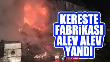 Akyazı'da kereste fabrikası alev alev yandı