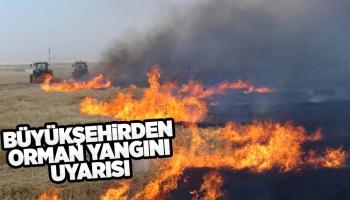 Büyükşehir orman yangınlarına karşı uyarıyor